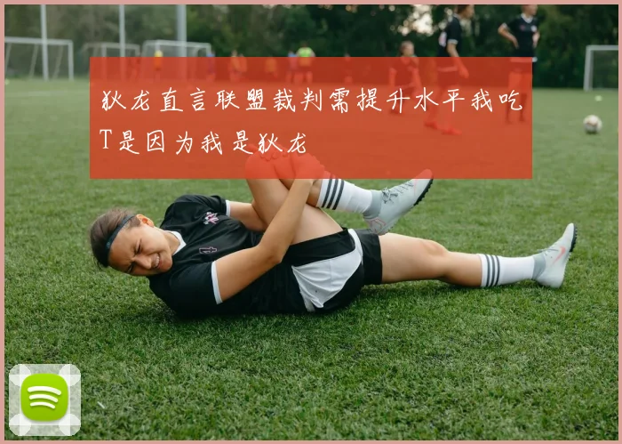 狄龙直言联盟裁判需提升水平我吃T是因为我是狄龙